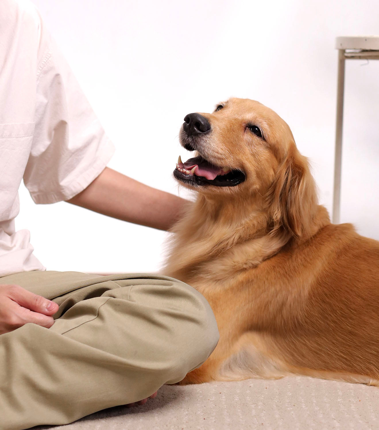 Grid Banner image_6PEkhz