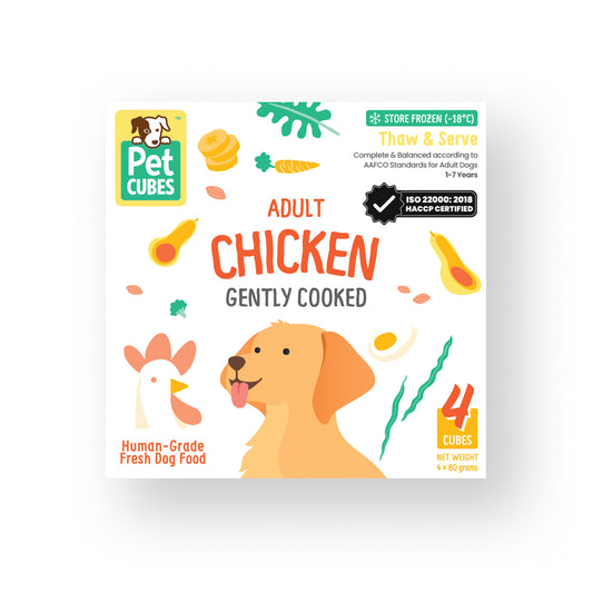 Chicken (Single)