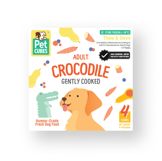 Crocodile (Single)