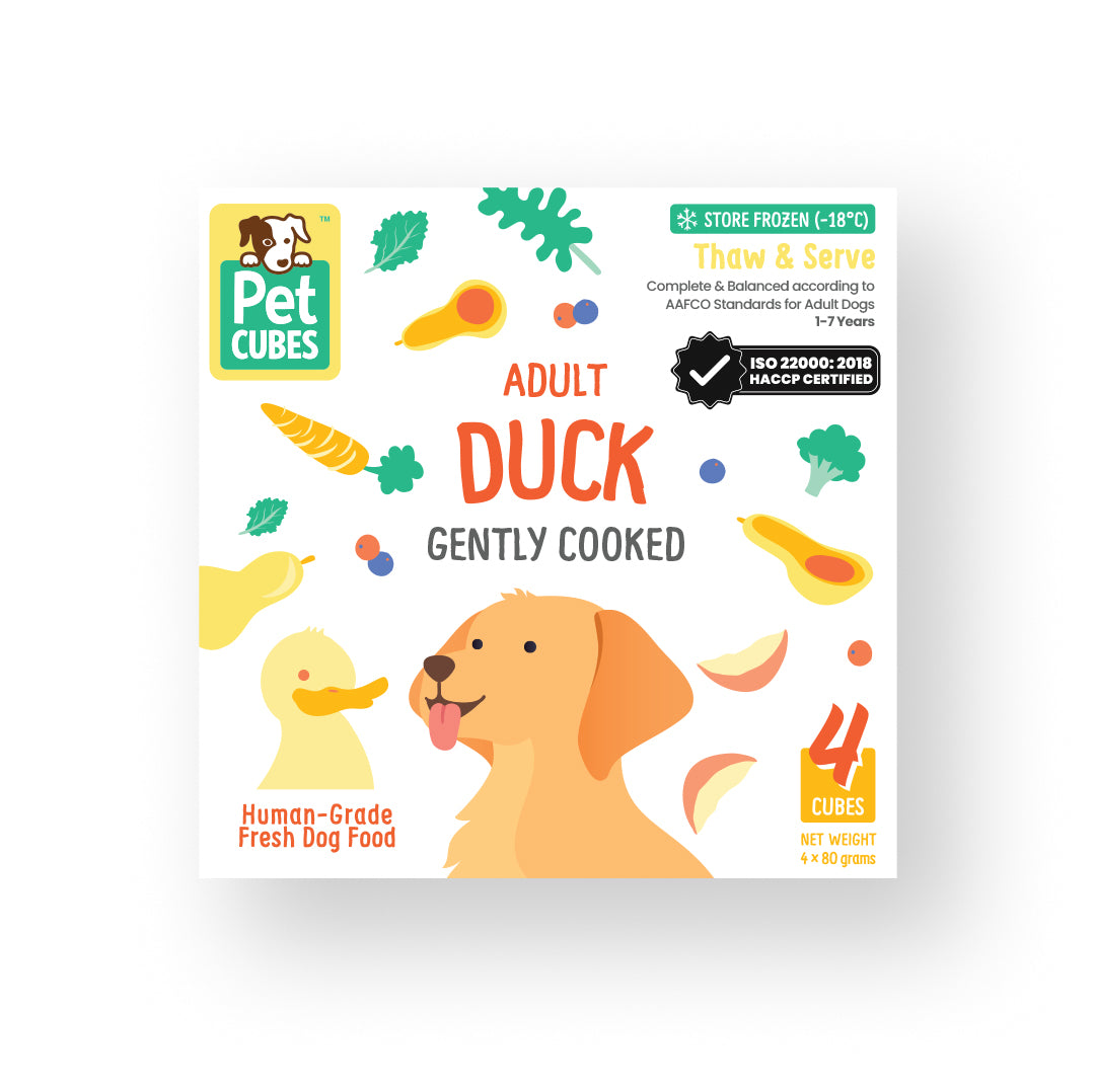 Duck (Case)