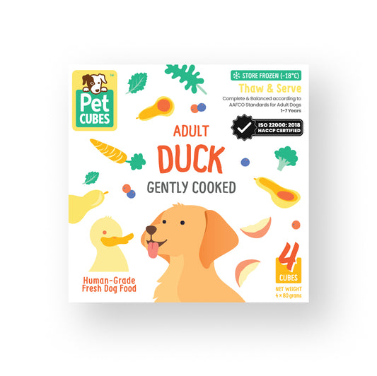 Duck (Single)