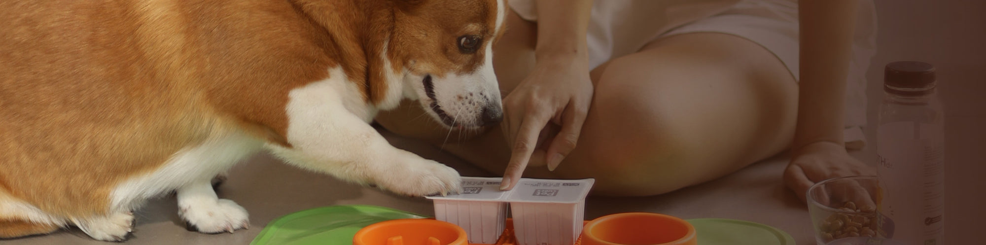 BYOB Gently Cooked for Dogs