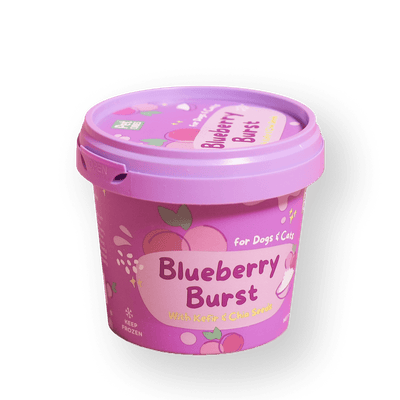 Blueberry Burst Ice Cream - For Dog & Cat