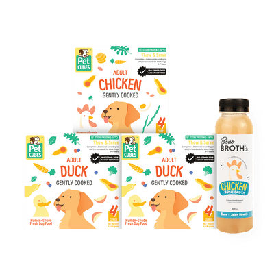 Core Protein Bundle - For Adult Dog