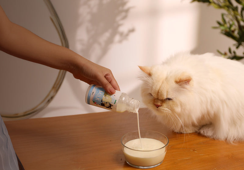 Gut Health in Every Sip