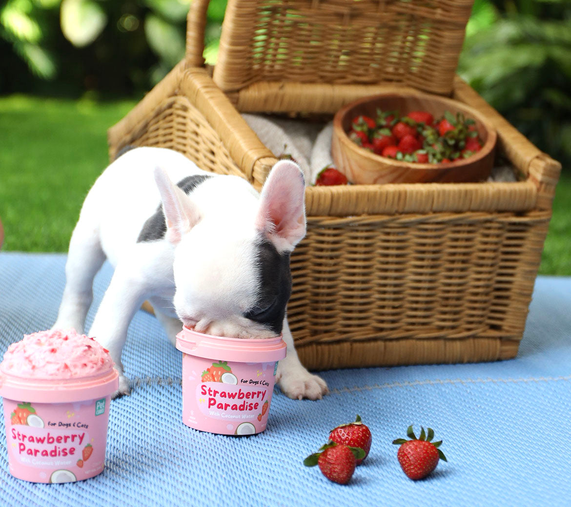 ice creams image
