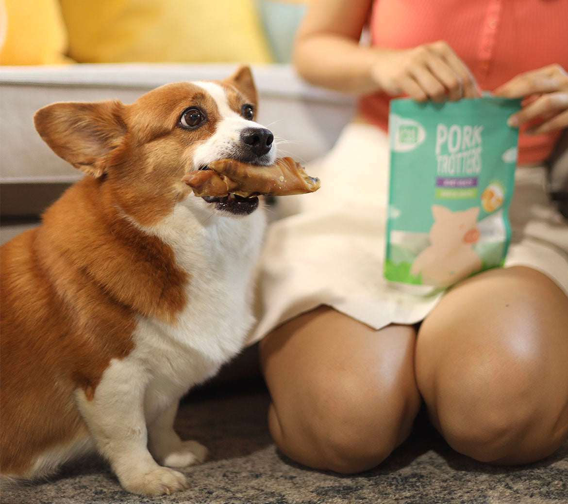 treats image