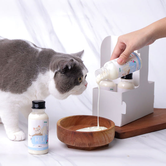 Kefir Milk for Cats