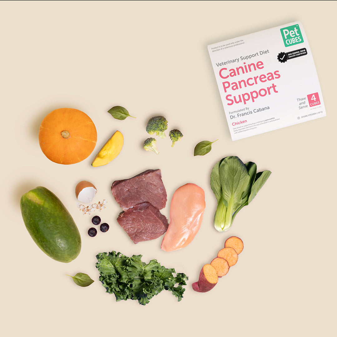 Canine Pancreas Support