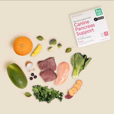 Canine Pancreas Support