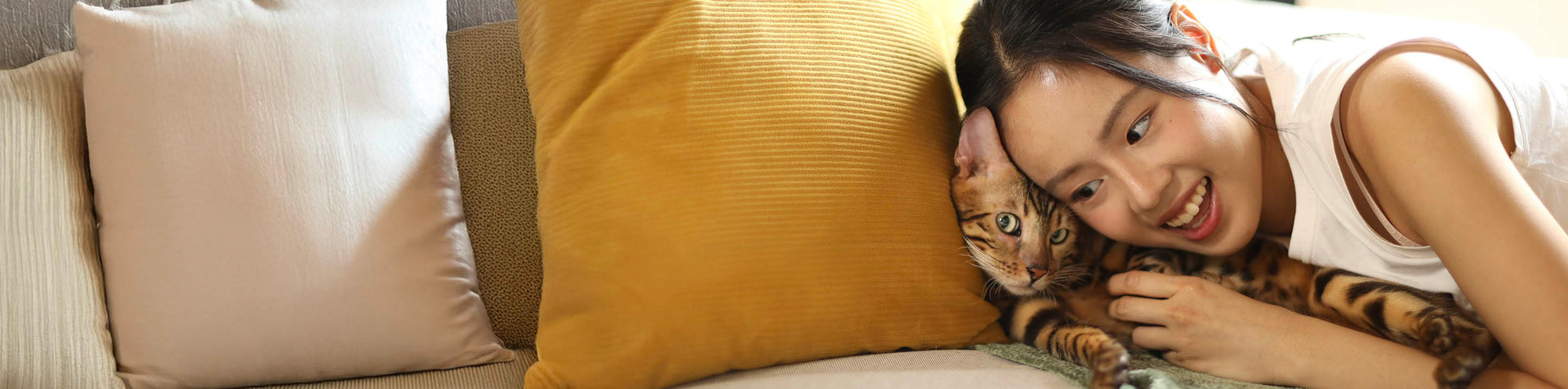 Super Deals for Cats
