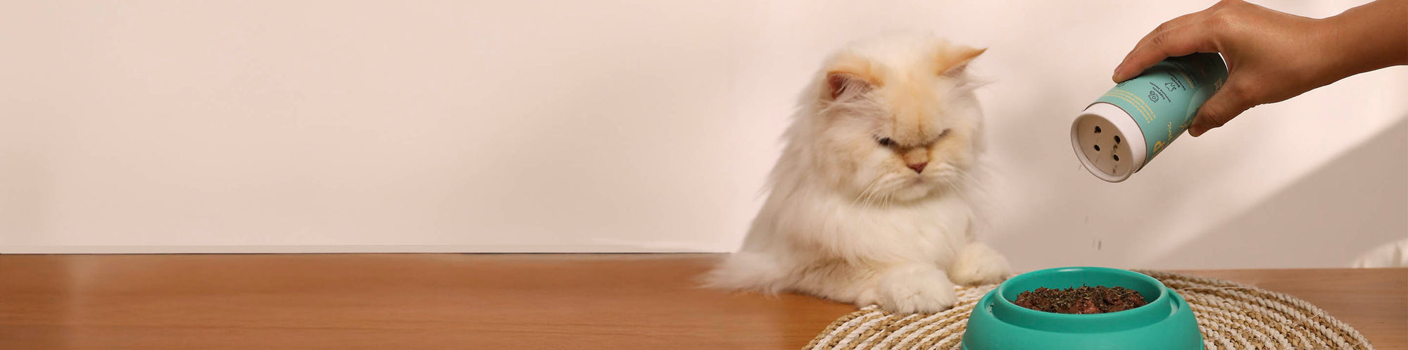 Supplements for Cats