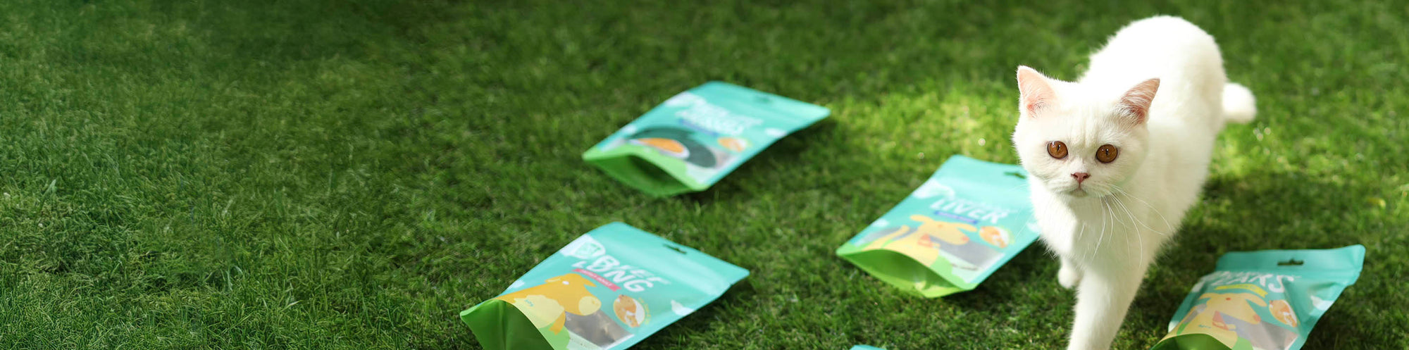 Treats for Cats