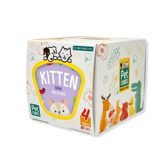 Build Your Own Box (Kitten)