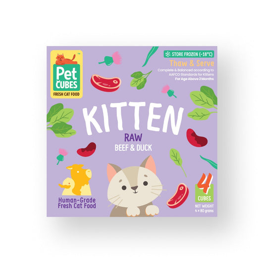 Raw Beef & Duck for Kittens (Case)