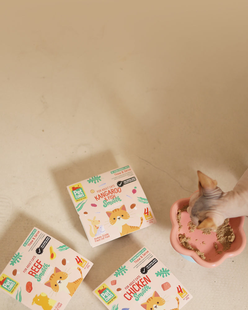 Ready to find a meal your  cat will love?