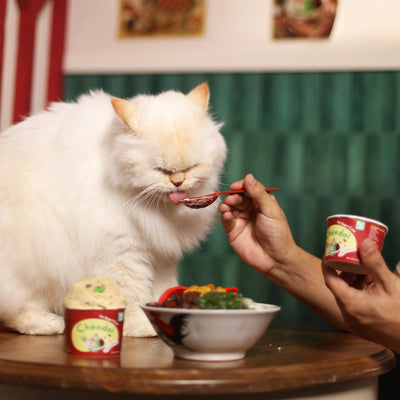 Chendol Ice Cream - For Dog & Cat