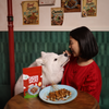 Chicken Satay - Treat for Dog & Cat