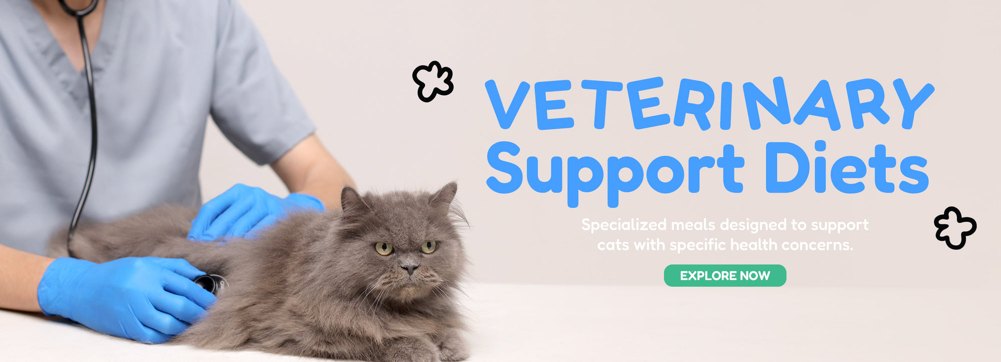 Hero Banner V2 Image 5