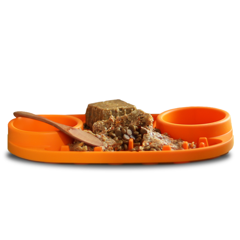 Feeding Guide Diet entry_Ge6XDg