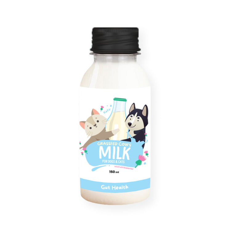 Kefir Milk for Dogs & Cats