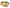 Media + Text in Tabs