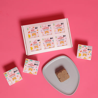 Basic Pawty Pack -  Gently Cooked for Adult Cat