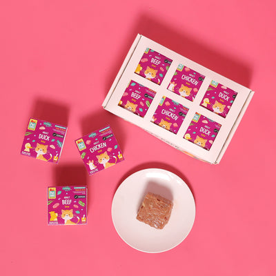 Basic Pawty Pack - Raw For Adult Cat