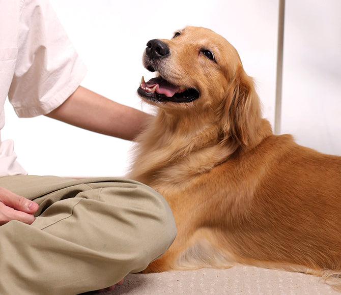 Grid Banner image_6PEkhz