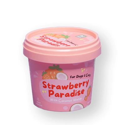 Strawberry Paradise Ice Cream - For Dog & Cat