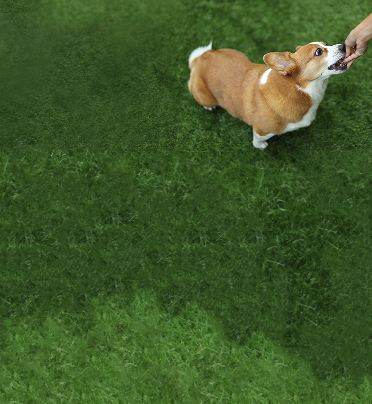 The Multi-Ingredient Advantage