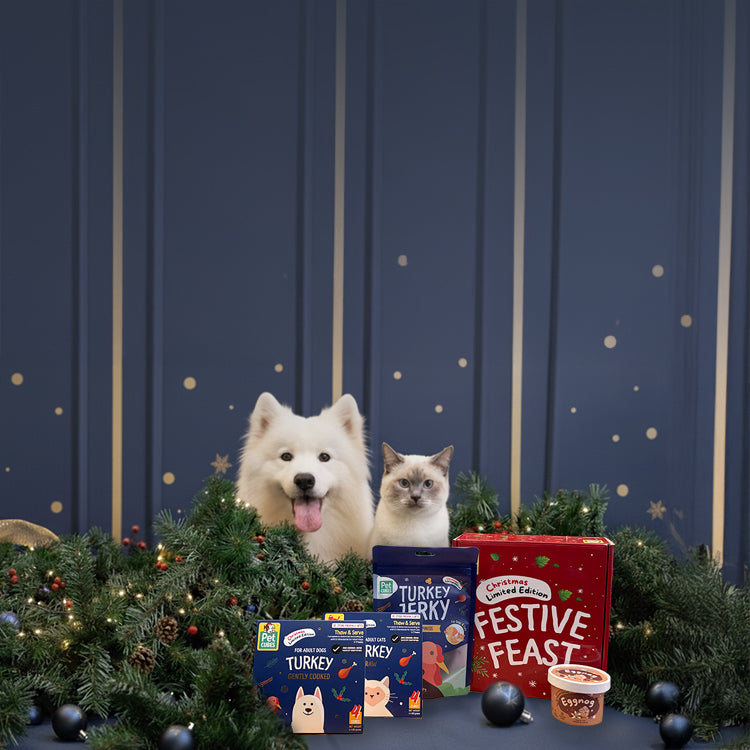 For the Goodest Boys & Girls