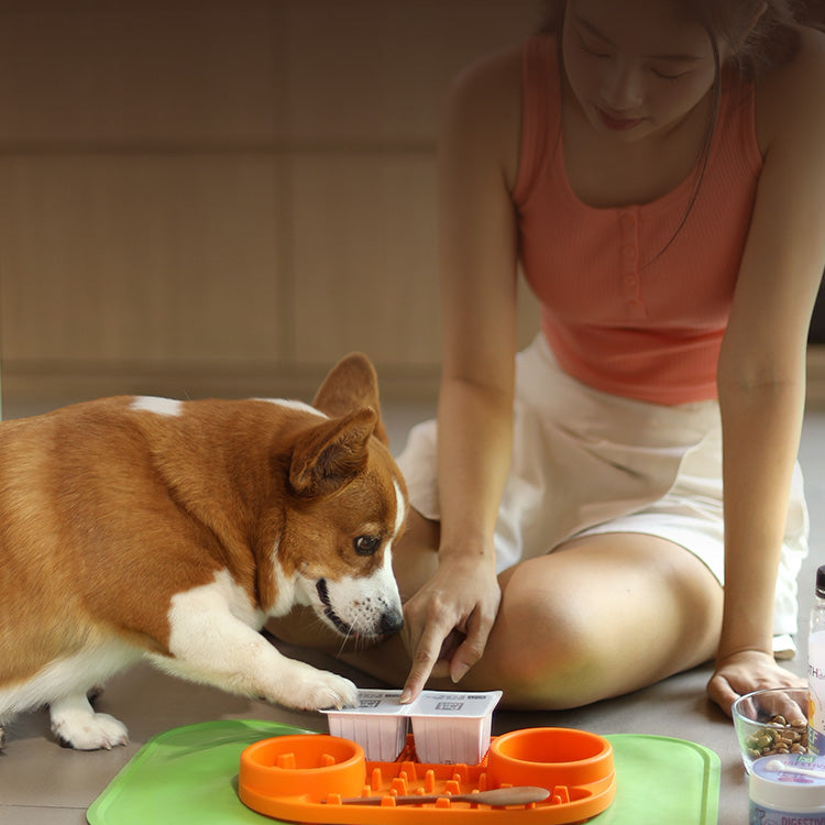 BYOB Gently Cooked for Dogs