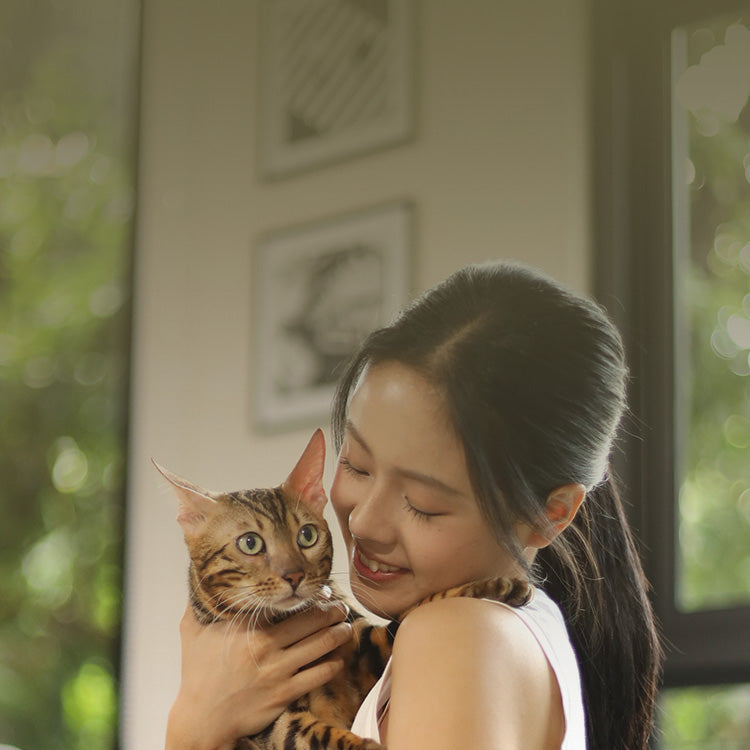 BYOB - Raw for Cats - New