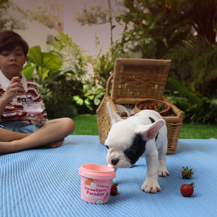 Ice Cream for Dogs