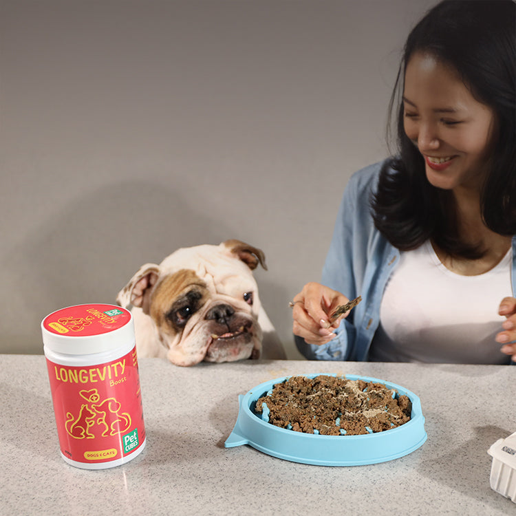 Supplements for Dogs