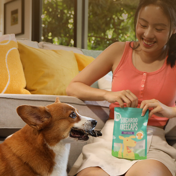 Treats for Dogs