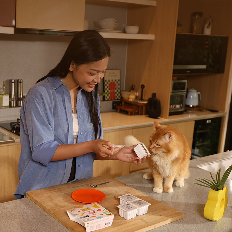 Gently Cooked For Cats