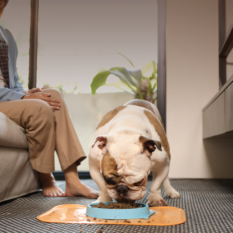 Gently Cooked <br> For Dogs