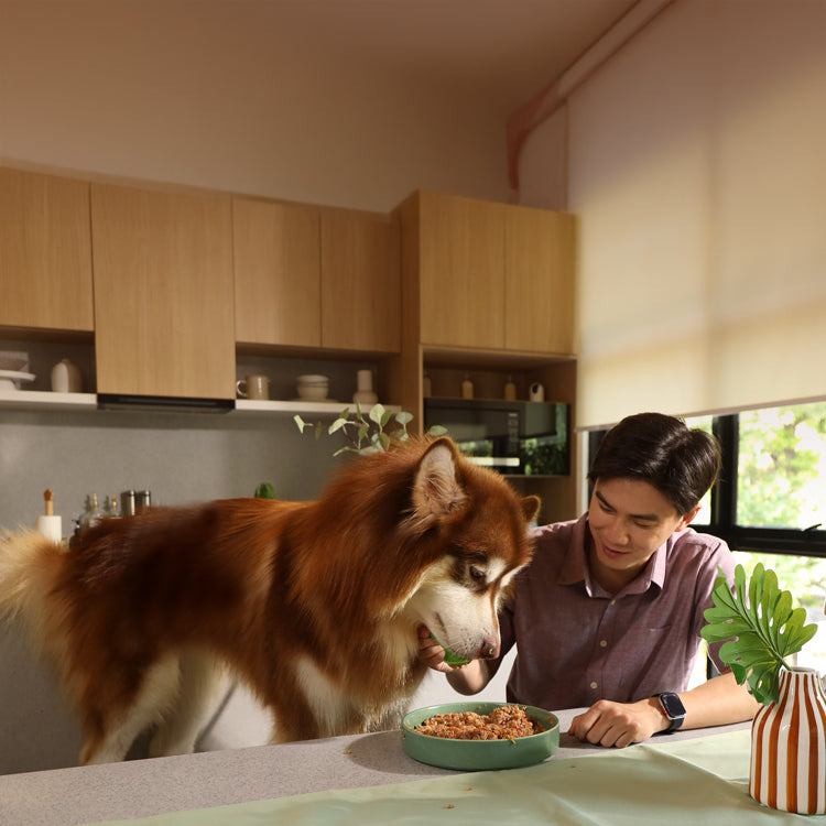 Raw for Dogs