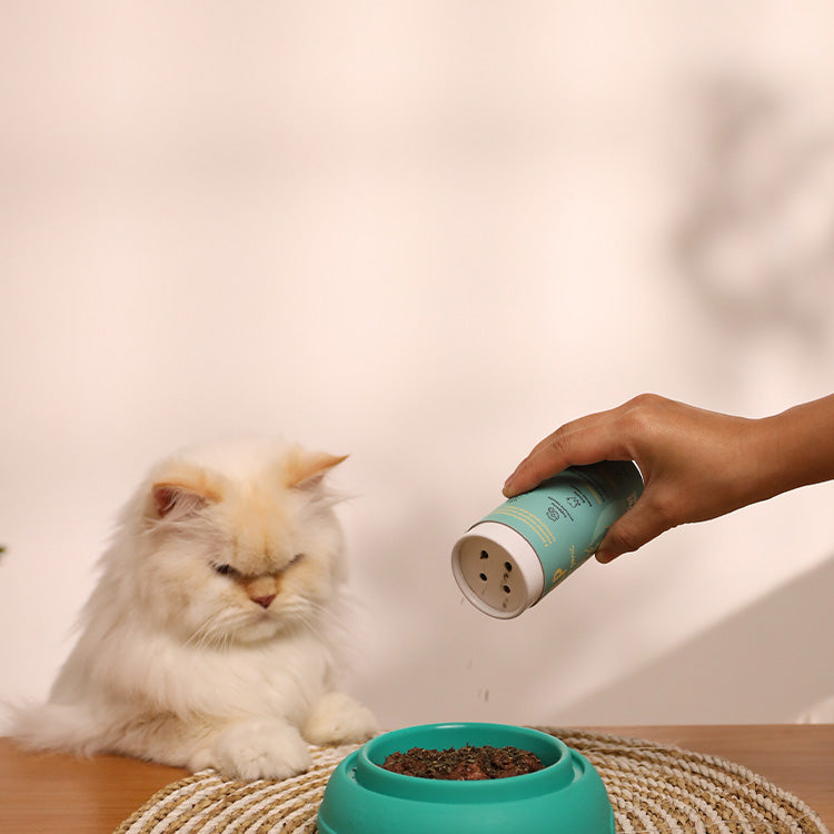 Supplements for Cats
