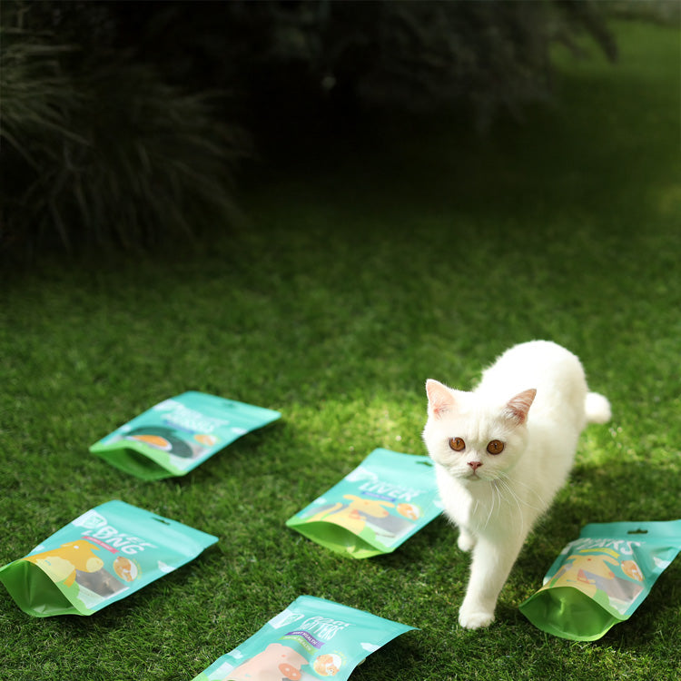 Treats for Cats
