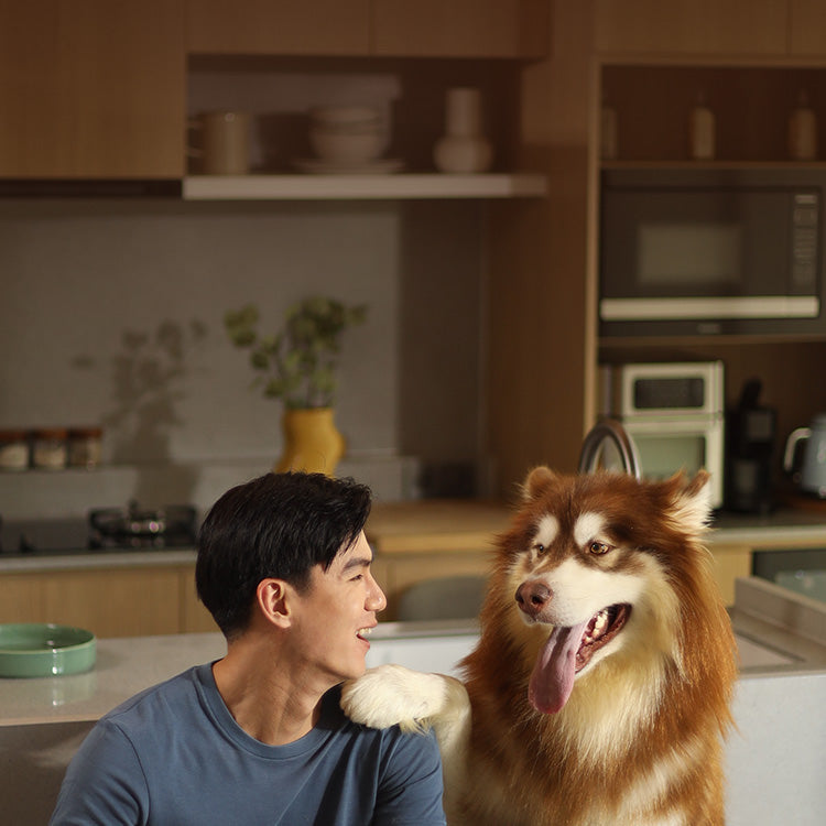 Super Deals for Dogs