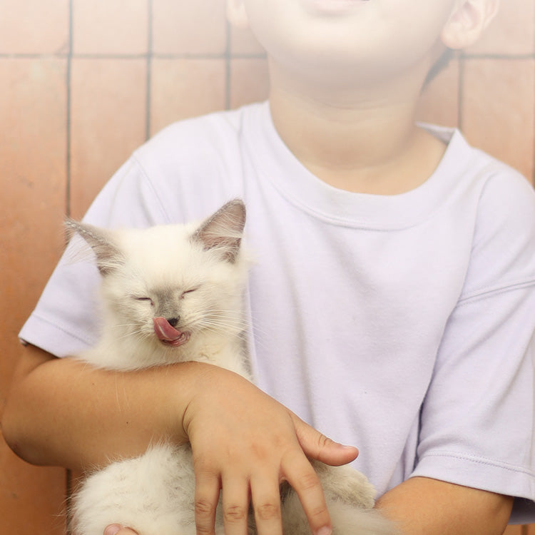 Kittens