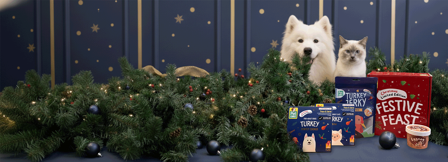 For the Goodest Boys & Girls