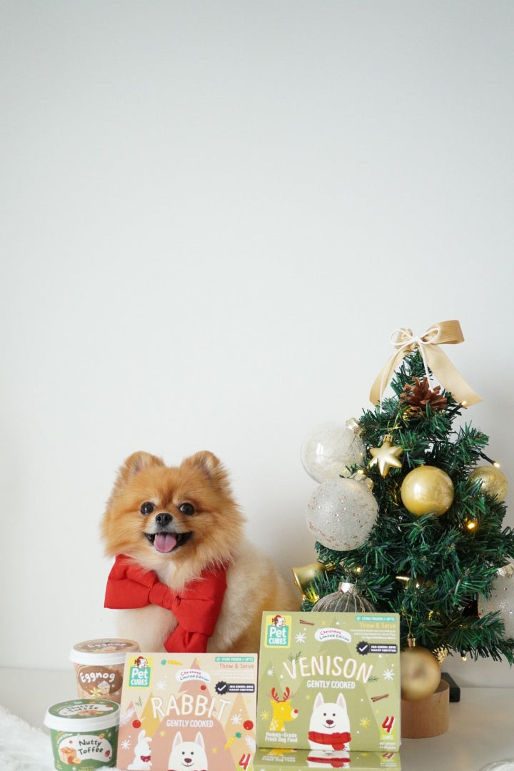HOLIDAY FEAST FOR YOUR PETS!