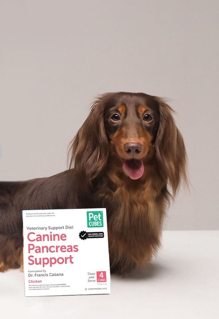 Canine <br>Support Diets <br><br>