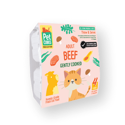 Gently Cooked Beef for Cats (NEW!) (Case)