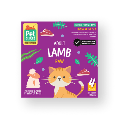 Lamb - Raw For Adult Cat