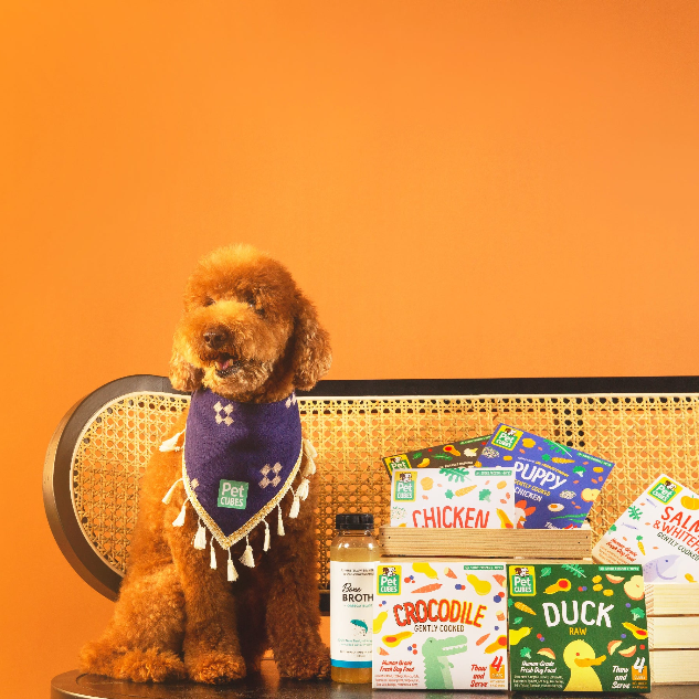 Fresh Dog Food Collections